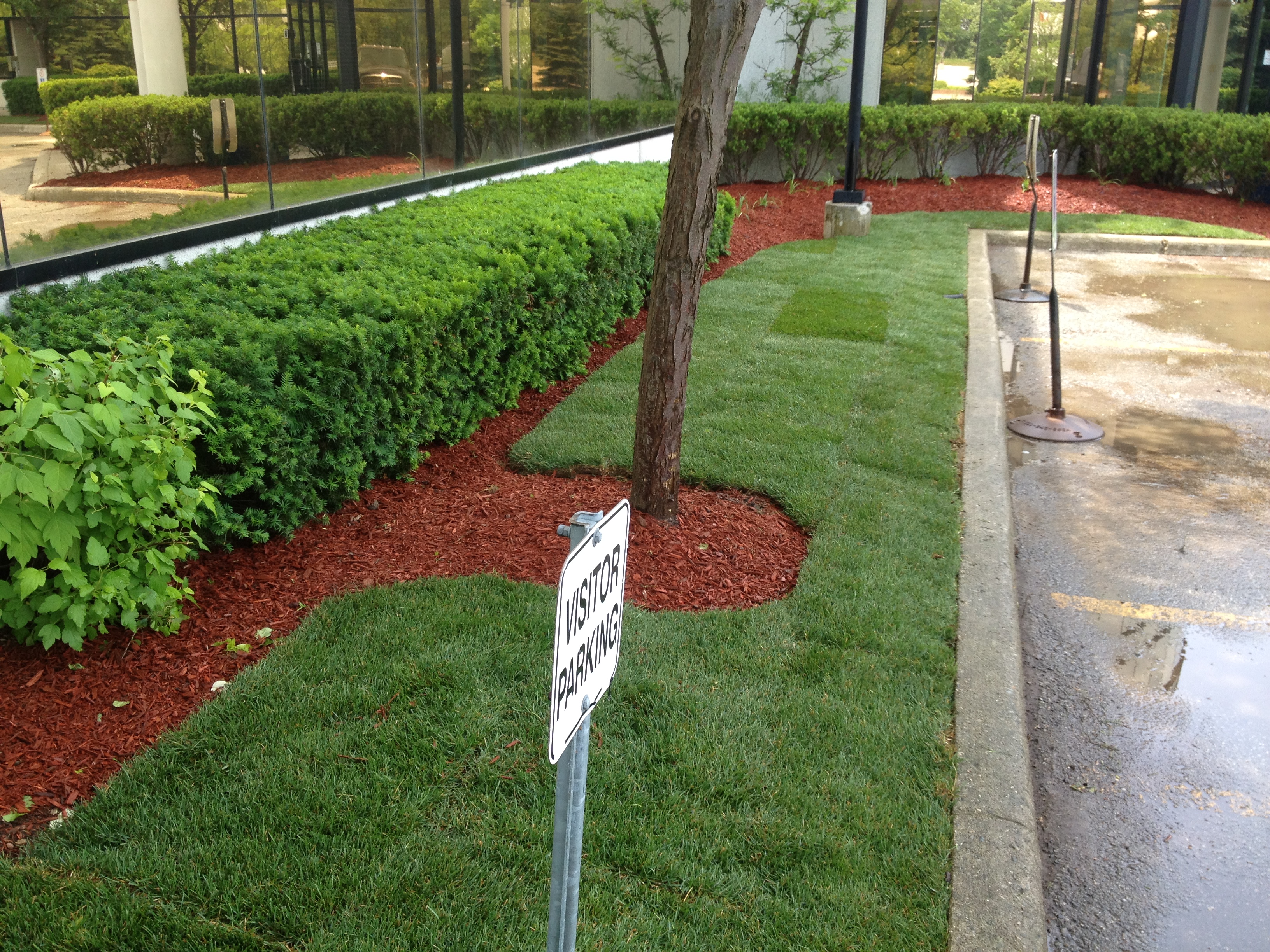 landscaping & grounds maintenance