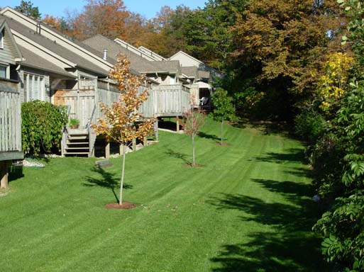 landscaping & grounds maintenance