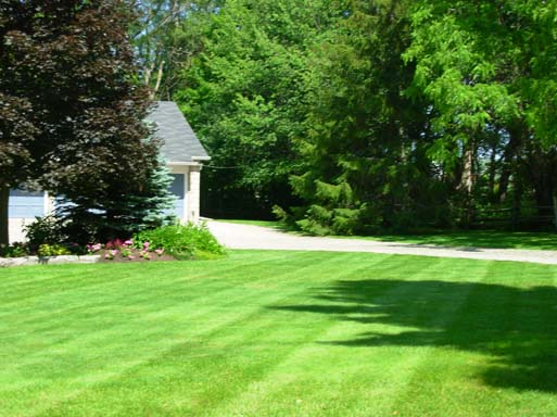 landscaping & grounds maintenance