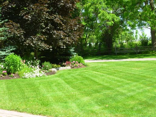 landscaping & grounds maintenance