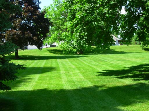 landscaping & grounds maintenance